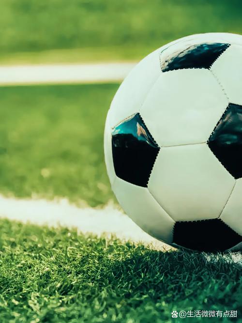 今晚14场足彩对阵比分预测平台界面