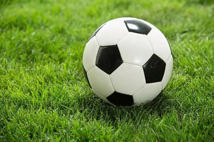 立即免费使用今晚14场足彩对阵比分服务