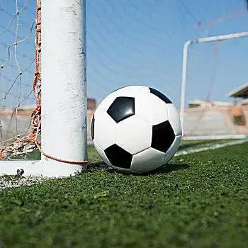 足彩爱好者使用案例